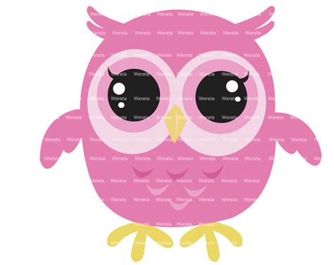 Baby Owl Clipart And Baby Owl Clip Art Images Hdclipartall