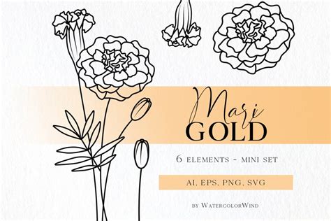 Marigold Birth Month Flower SVG files, October Birthday