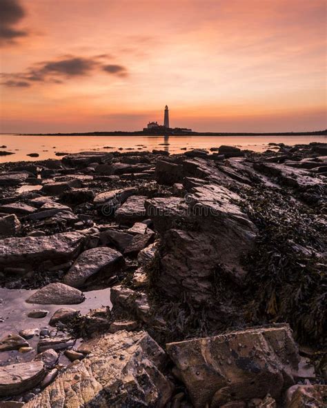 Sunrise Over St Marys Lighthouse Stock Photo Image Of Seaside