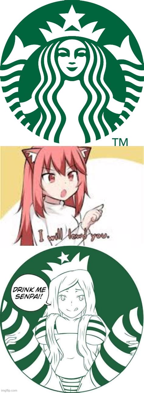 Starbucks In Rule 34 Imgflip
