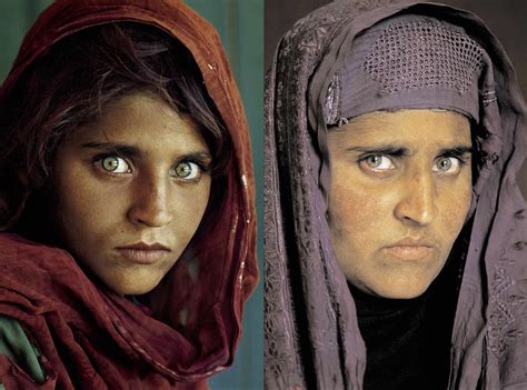 sharbat gula famed ‘afghan girl is welcomed back to afghanistan the new york times