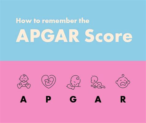 Medzcool The Apgar Score Was Developed In 1952 By The