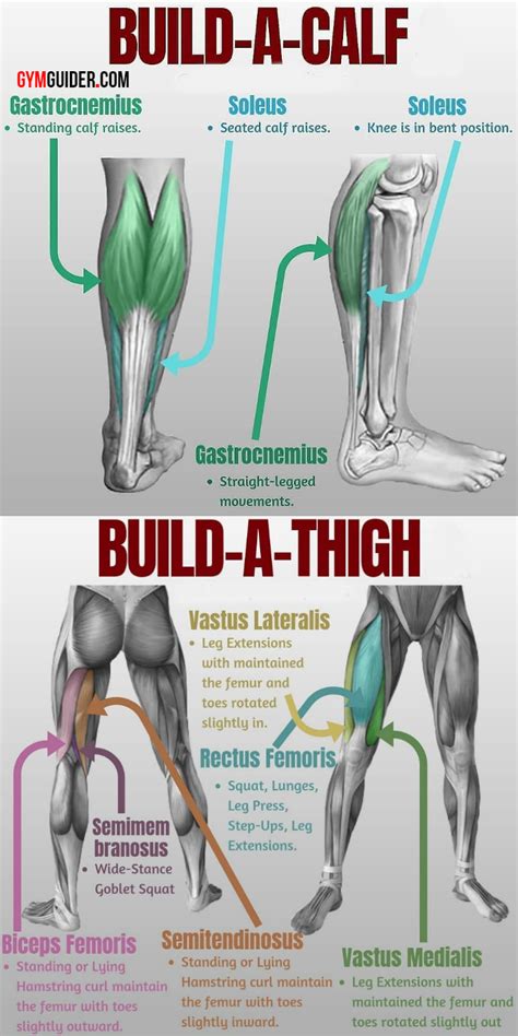 Theres More To Leg Workouts Than Just Squats Since Your Legs Are Made