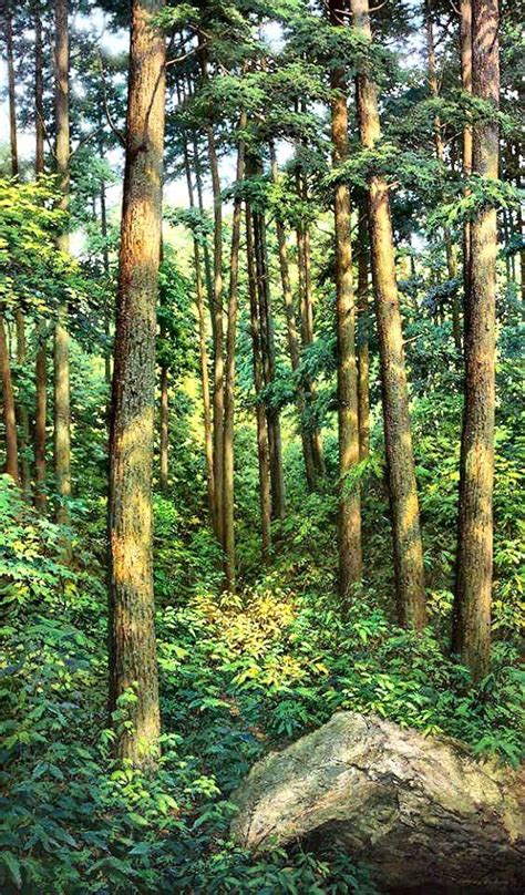 An Jung Hwan Vintage Landscape Landscape Paintings Forest Painting