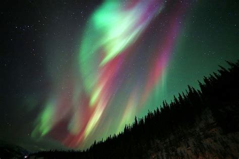 Ras T Northern Lights Alaska Northern Lights Aurora Borealis