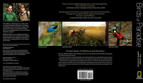 Birds Of Paradise Book Books By Tim Books Wildlife Photojournalist