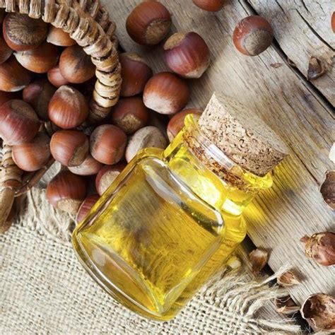 Use And Benefits Of Hazelnut Oil For Stronger Healthier Hair