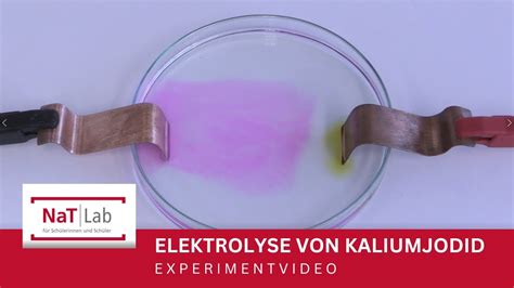 Elektrolyse Einer Kaliumjodidlösung Experiment Für Den Unterricht