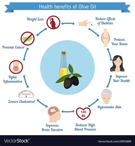 Health Benefits Of Olive Oil Royalty Free Vector Image