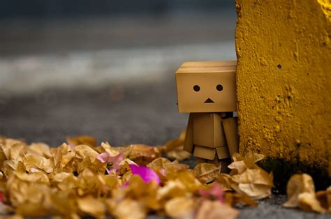 Hiding Danbo Do Not Fear To Step Into The Unknown For Flickr
