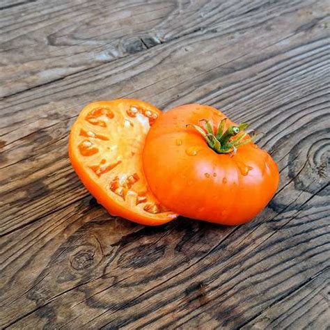 Brandywine Orange Beefsteak Tomato Meraki Seeds
