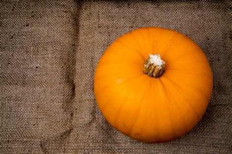Pumpkin On The Jute Background Free Stock Photo Public Domain Pictures