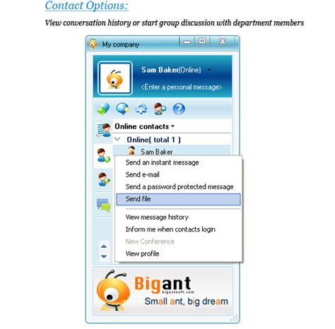 Bigant Messenger Includes Instant Messenger Lan Chat Net Send Live Chat