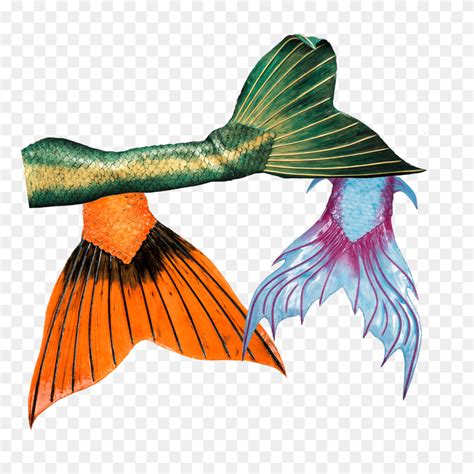 High Quality Mermaid Tails Mermaid Tail Png Stunning Free Transparent Png Clipart Images