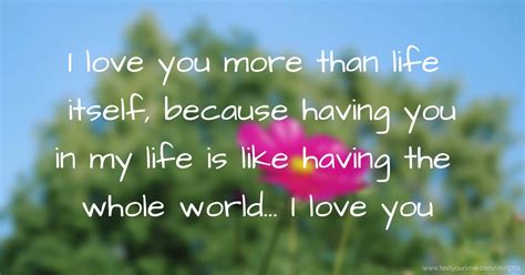 I Love You More Than Life Itself Because Having You In Text