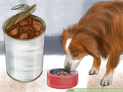May 26, 2021 · best dog food for border collies 1. How to Choose Food for Your Border Collie: 9 Steps (with ...