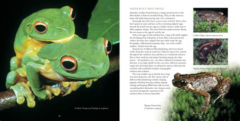 The amazon rainforest is the largest tropical rainforest in the world. Wild about the Tropics - Quality wildlife publications and ...