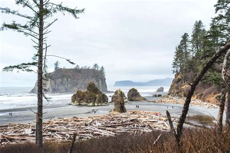 The Ultimate Olympic Peninsula Road Trip Itinerary