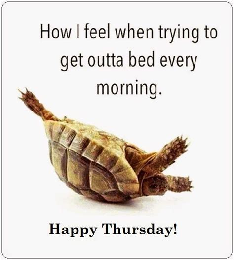 This is a collection of 60 amazing thursday morning quotes, thursday memes and images to get you started for work. Happy Thursday Pictures, Photos, and Images for Facebook ...