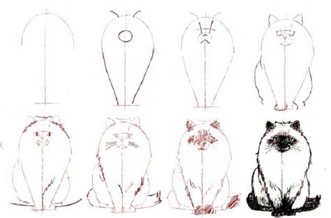 20 Easy Cat Drawing Step By Step Tutorials Simple Cat Sketch