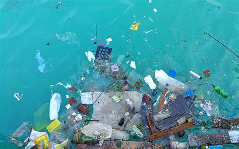 The Impact Of Ocean Litter Adopt A Beach