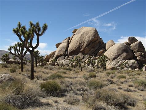 Cap Rock Hike Joshua Tree National Park California Flickr