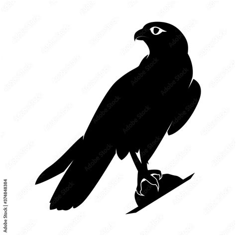 Falcon Silhouette On White Background Isolated Vector Animal Template