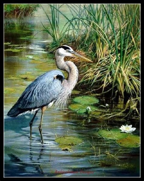 Great Blue Heron Counted Cross Stitch Patterns Printable Etsy Heron