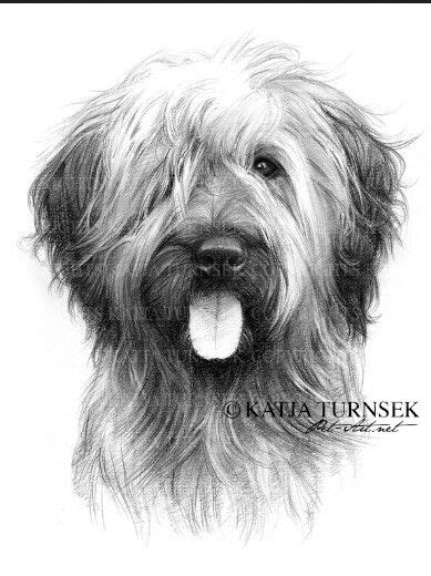 Artist Katja Turn Sake 5 Dog Art Portrait Drawing Mountain Sketch