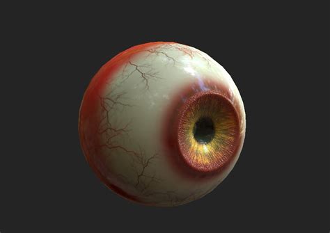 Free Eye Eyeball 3d Turbosquid 1321489
