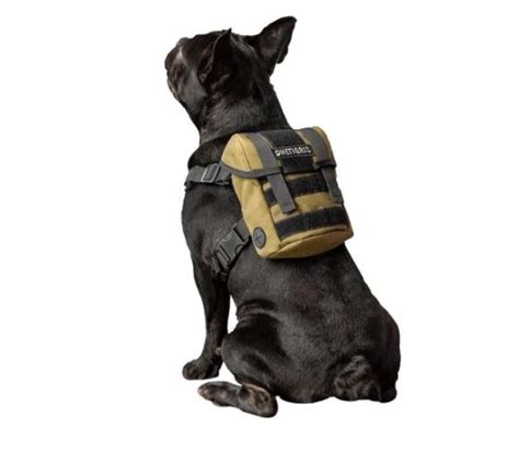 Front, back or classic carrier bag would be best for carrying your dog? French Bulldog Professional Backpack Harness By Frenchie ...