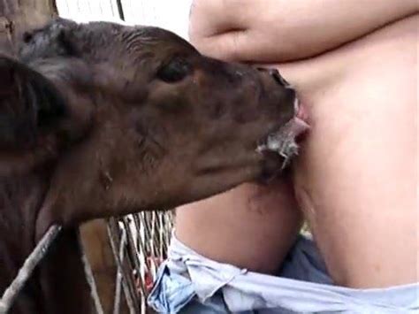 Calf Blowjob Sex Trends Pic Free Site Comments