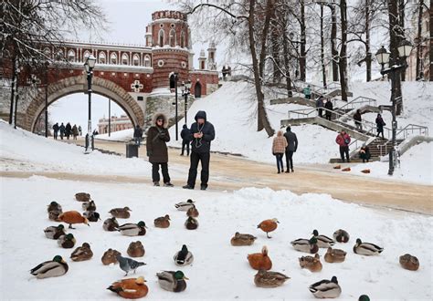 Moscow Welcomes Winters First Snowfall The Moscow Times