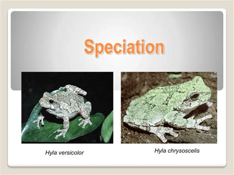 Isolating Mechanisms And Speciation