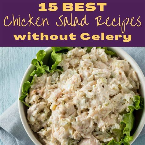 15 Best Chicken Salad Recipes Without Celery Moments And Meals