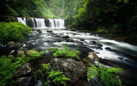 Download Wallpapers Waterfall Forest Green Trees River Cascade