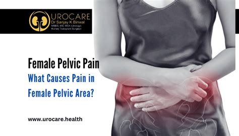 8 Female Pelvic Pain Causes What Causes Pain In Female Pelvic Area