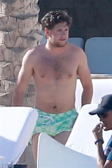 Rarely Seen Niall Horan Is Looking Very Different As He Goes Shirtless
