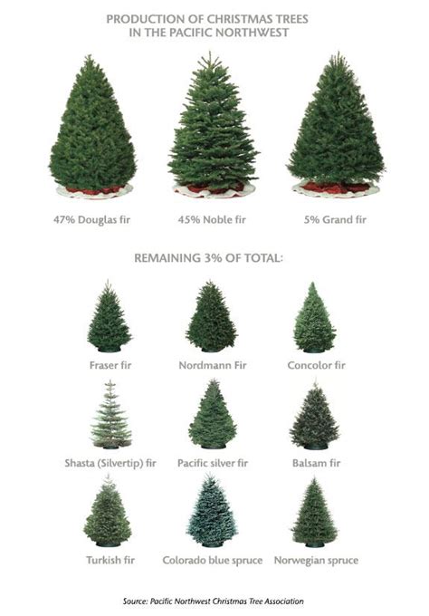 Washington State Magazine Christmas Tree Guide Types Of Christmas