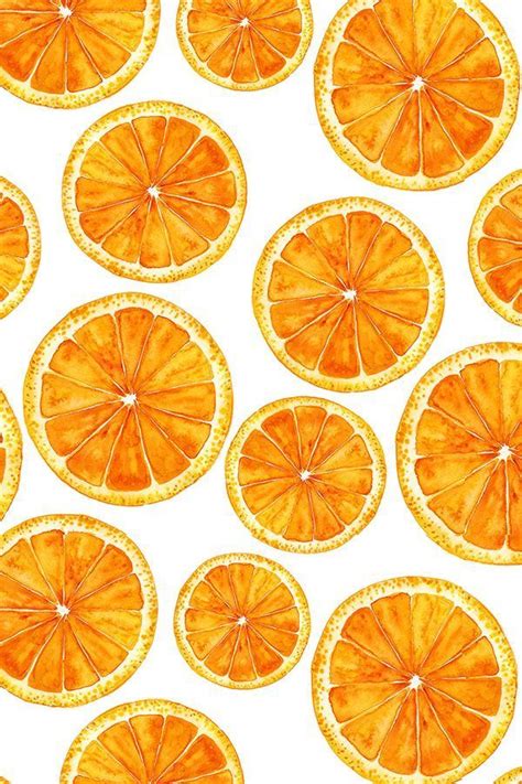 Hand Painted Bright Orange Slices On White Background By Svetlana