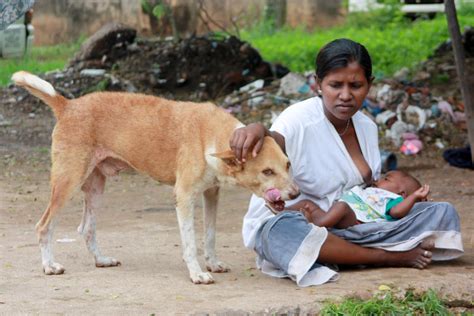 Porno Woman Breastfeeding Dog Telegraph