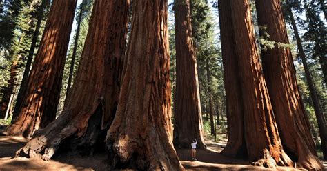 5 California National Monuments Are Among 27 Up For Axing Good Day