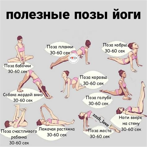 Я Люблю ЗОЖ Fitness Workouts Fitness Jobs Fitness Workout For Women Yoga Fitness At Home