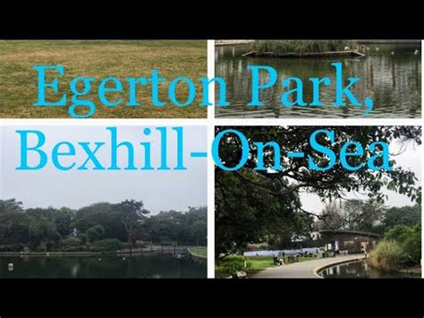 Egerton Park Bexhill On Sea Roses Files YouTube