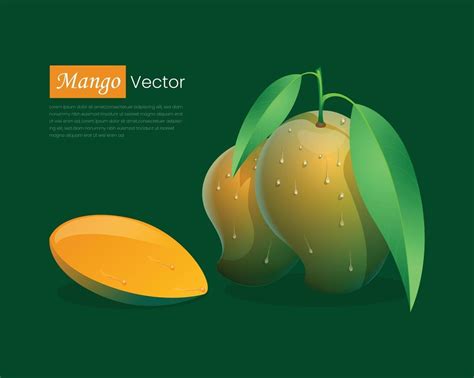 Mango Realistic Vector Whole And Slice Mango Fruit With Leaf Concept