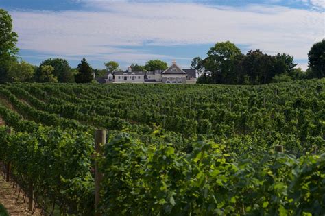 Del Vino Vineyards Long Island Wine Country