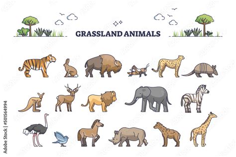Stockvector Grassland Animals For Savanna Or Safari Collection With