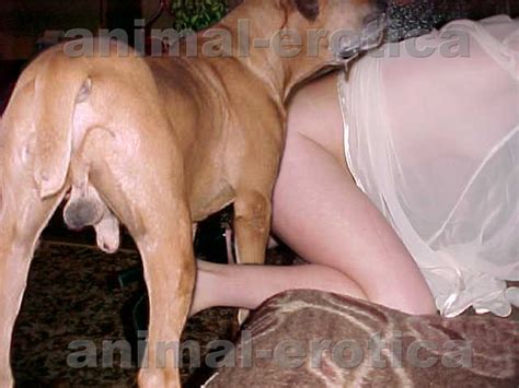 Zoo Sex Horny Slutty Girls Fucking Hard By Doggy Cock