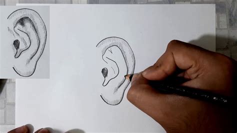 ¿cómo Dibujar Un Oreja Realista How To Draw A Realistic Ear Youtube