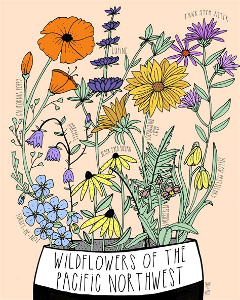 Wildflowers Of The Northwest Illustration Flower Print Art Etsy